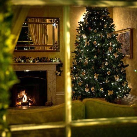 Winter  fennes  tree.jpg
